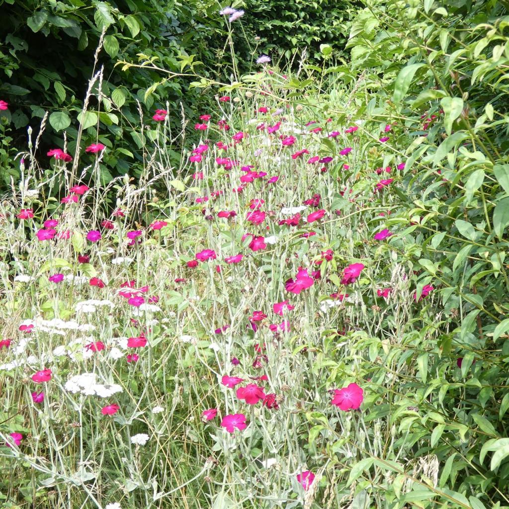 Natur pur